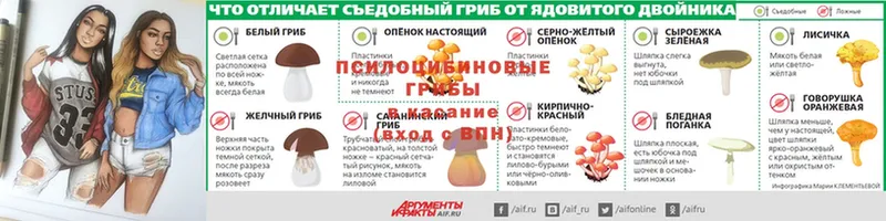 ОМГ ОМГ ССЫЛКА  Полевской  Галлюциногенные грибы Psilocybe 